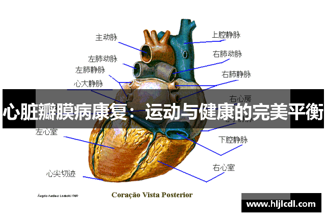 心脏瓣膜病康复：运动与健康的完美平衡